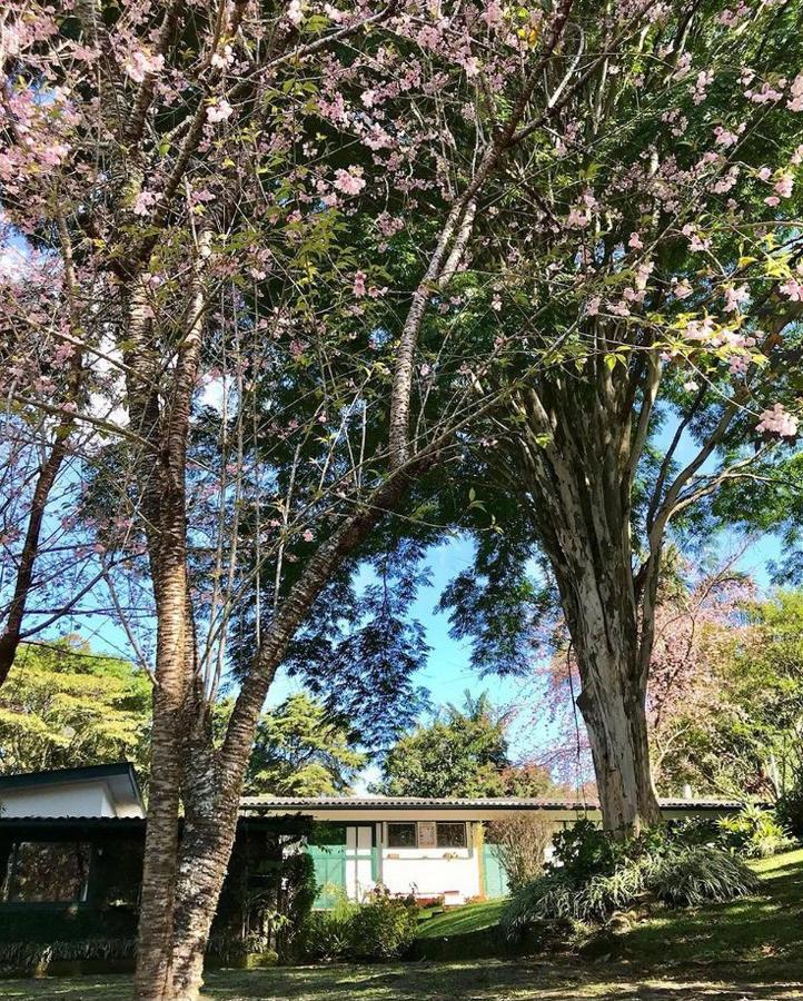 فندق Pinheiros Do Rocio Petrópolis المظهر الخارجي الصورة