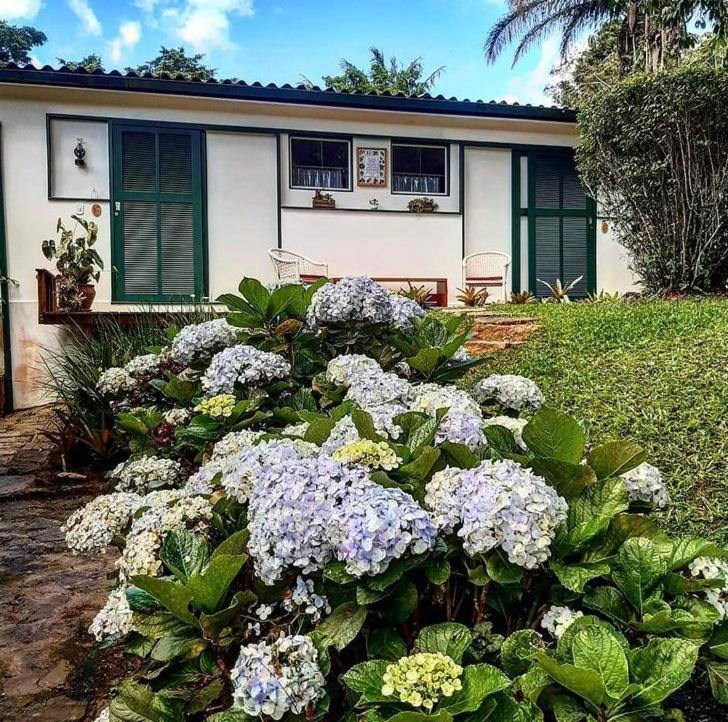فندق Pinheiros Do Rocio Petrópolis المظهر الخارجي الصورة