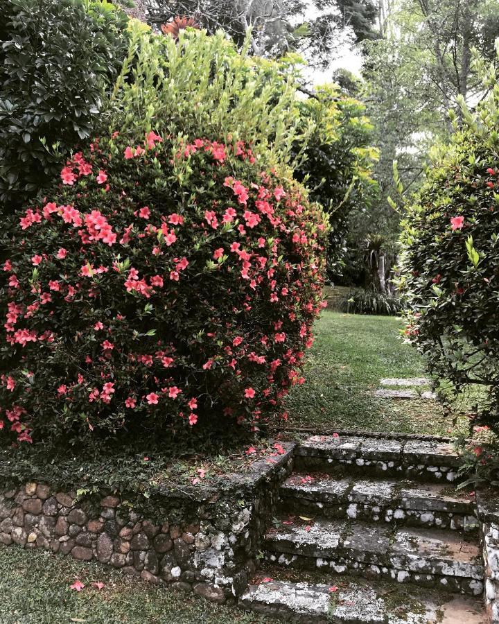 فندق Pinheiros Do Rocio Petrópolis المظهر الخارجي الصورة