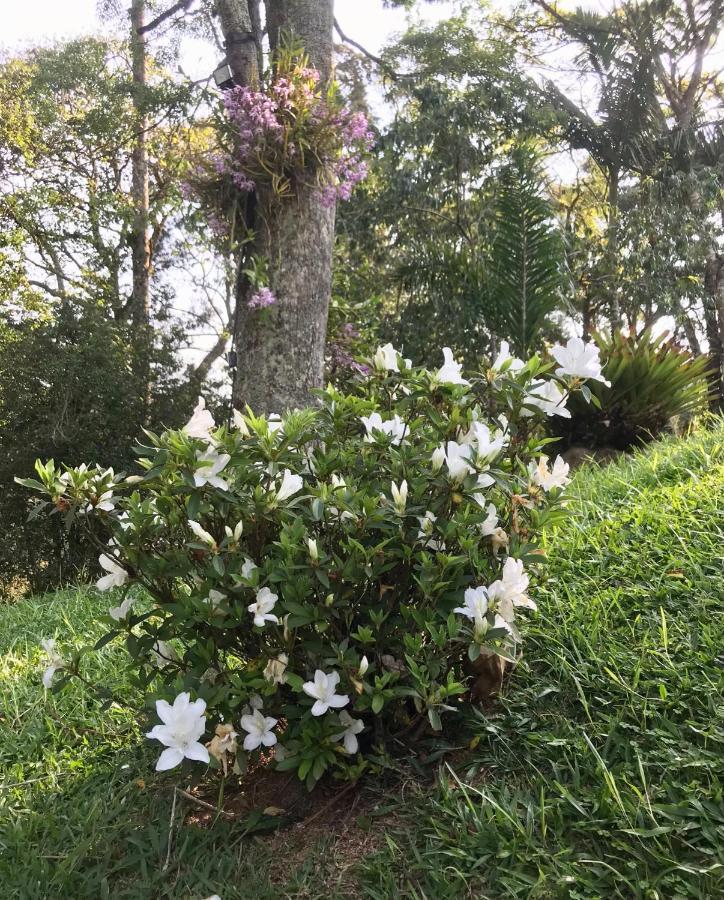 فندق Pinheiros Do Rocio Petrópolis المظهر الخارجي الصورة