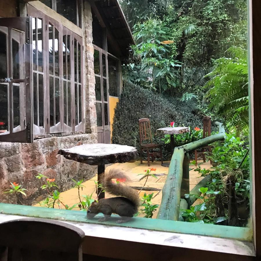فندق Pinheiros Do Rocio Petrópolis المظهر الخارجي الصورة