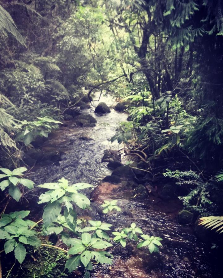 فندق Pinheiros Do Rocio Petrópolis المظهر الخارجي الصورة
