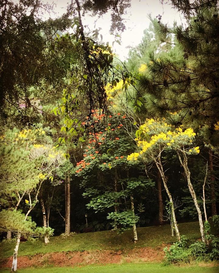 فندق Pinheiros Do Rocio Petrópolis المظهر الخارجي الصورة