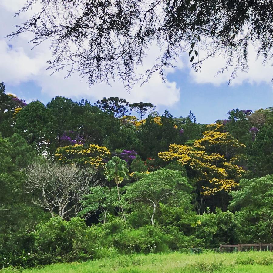 فندق Pinheiros Do Rocio Petrópolis المظهر الخارجي الصورة