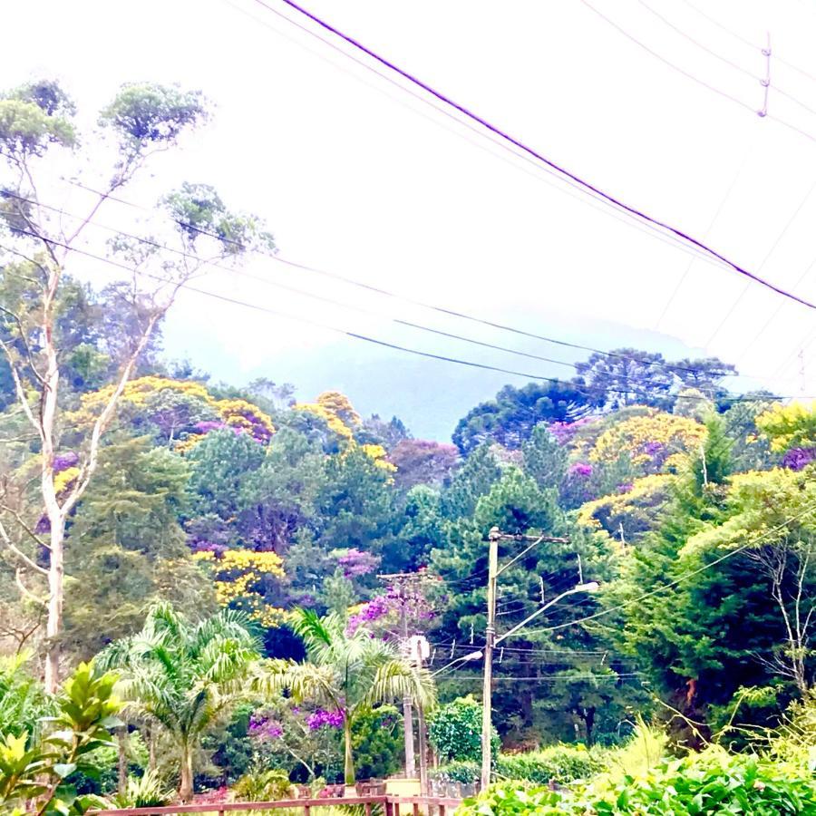 فندق Pinheiros Do Rocio Petrópolis المظهر الخارجي الصورة