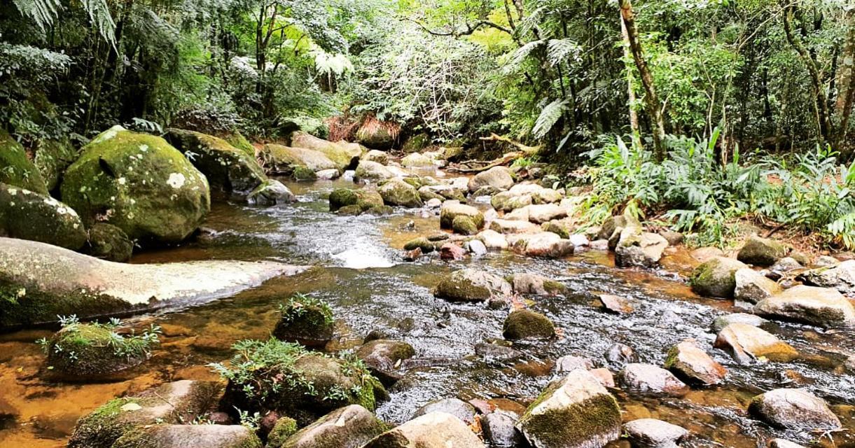 فندق Pinheiros Do Rocio Petrópolis المظهر الخارجي الصورة